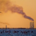 نفس شمال هم بند آمد؛ چتر سیاه دود بر سر جنگلهای سبز نفس شمال هم بند آمد؛ چتر سیاه دود بر سر جنگلهای سبز