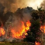 آتش مهارنشدنی جنگل‌های شمال؛ معاون رییس جمهوری پیام کمک فرستاد