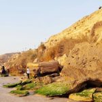 پروژه زیپ‌لاین در محوطه تاریخی ریشهر متوقف شد