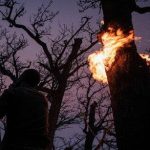 منشا انسانی آتش سوزی الیت قطعی است منشا انسانی آتش سوزی الیت قطعی است