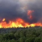 آتشسوزی جنگلهای الیت چالوس: نبردی طولانی با شعلههای پنهان آتشسوزی جنگلهای الیت چالوس: نبردی طولانی با شعلههای پنهان