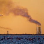 هشدار: هوای ۱۳ شهر خوزستان در وضعیت ناسالم؛ تنفس در جنوب ایران به چالش کشیده شد! هشدار: هوای ۱۳ شهر خوزستان در وضعیت ناسالم؛ تنفس در جنوب ایران به چالش کشیده شد!