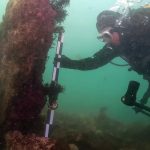 کشف شهری باستانی در اعماق دریا؛ افسانه به حقیقت می‌پیوندد؟