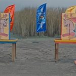 حواشی توهین به نمادهای ایران؛ سیامک انصاری هم عذرخواهی کرد