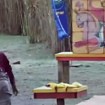 نتیجه سنگ زدن به نمادهای ایران؛ کارگردان بازمانده مجبور به عذرخواهی شد