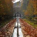 کشف تهران: جادوی پاییز در خیابان ولیعصر (ویدیو) کشف تهران: جادوی پاییز در خیابان ولیعصر (ویدیو)