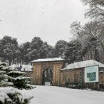 سامانههای برفی در راه ایران؛ البرز و زاگرس زیر برف سنگین میروند سامانههای برفی در راه ایران؛ البرز و زاگرس زیر برف سنگین میروند