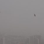 هوای تهران؛ وضعیت قرمز، تهدیدی برای سلامت همه