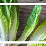 چه قسمتی از کاهو نیترات بیشتری دارد؟ آیا باید از نیترات کاهو ترسید؟ چه قسمتی از کاهو نیترات بیشتری دارد؟ آیا باید از نیترات کاهو ترسید؟