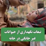 تبعات نگهداری از حیوانات غیر خانگی در خانه