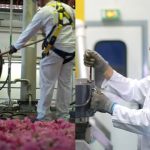 سازنده های پرفروش عطر و اسانس در سال 2025 سازنده های پرفروش عطر و اسانس در سال 2025