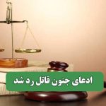 ادعای جنون قاتل رد شد