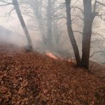 چرا به عنوان نماینده، فریاد جنگلبانان و محیط بانان برای تنقیح قوانین را نشنیدید؟/ برای تجهیزات اطفای آتش جنگل، چه قدمی برداشتید!