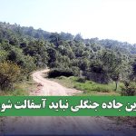 این جاده جنگلی نباید آسفالت شود این جاده جنگلی نباید آسفالت شود