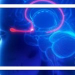 انسان فقط پنج حس ندارد