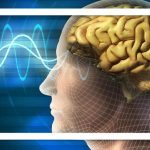 مغز از این حرکات شما متنفر است