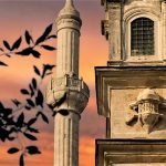 کاخ‌های پرنده ترکیه؛ معماری عثمانی برای پرندگان استانبول