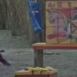 تکرار بیحرمتی به نمادهای تاریخ ایران باستان/ حمله به «درفش کاویانی» در یک برنامه نمایش خانگی + فیلم تکرار بیحرمتی به نمادهای تاریخ ایران باستان/ حمله به «درفش کاویانی» در یک برنامه نمایش خانگی + فیلم