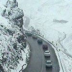 آغاز بارش شدید برف در جاده چالوس+ فیلم