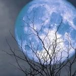 فردا ۱۴ آذر ۱۴۰۴ چشم از آسمان برندارید / همه بخوانند فردا ۱۴ آذر ۱۴۰۴ چشم از آسمان برندارید / همه بخوانند