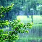 هواشناسی کشور امروز دوشنبه ۱۷ آذر ۱۴۰۴ / هشدار جدی هواشناسی به ۲۴ استان هواشناسی کشور امروز دوشنبه ۱۷ آذر ۱۴۰۴ / هشدار جدی هواشناسی به ۲۴ استان