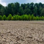 شمال کشور هم خشک خواهد شد /با شمال سرسبز و پوشیده از درخت خداحافظی کنید