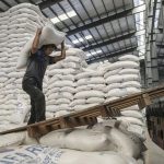 برنج ایرانی در بازار جهانی مشتری ندارد / صادرات برنج ایرانی محدود به ایرانیان خارج از کشور برنج ایرانی در بازار جهانی مشتری ندارد / صادرات برنج ایرانی محدود به ایرانیان خارج از کشور