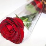 گل هم هدیه لاکچری شد/ قیمت گل روز مادر؛ از یک شاخه رز ساده تا باکس میلیونی! گل هم هدیه لاکچری شد/ قیمت گل روز مادر؛ از یک شاخه رز ساده تا باکس میلیونی!