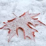 برف نیم متری این استان را غافلگیر کرد + عکس برف نیم متری این استان را غافلگیر کرد + عکس