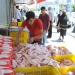 بازار مرغ شب عید در شوک کمبود نهاده/ قیمت مرغ به کیلویی چند تومان میرسد؟ بازار مرغ شب عید در شوک کمبود نهاده/ قیمت مرغ به کیلویی چند تومان میرسد؟