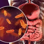 کشف ماده مغذی فعالکننده رودهها در مبارزه با دیابت کشف ماده مغذی فعالکننده رودهها در مبارزه با دیابت