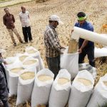 دولت برنج را از ما بخرد و در دریا بریزد! / اظهارنظر عجیب رئیس اتاق کشاورزی + فیلم دولت برنج را از ما بخرد و در دریا بریزد! / اظهارنظر عجیب رئیس اتاق کشاورزی + فیلم