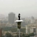 وضعیت آب و هوای تهران امروز دوشنبه ۲۴ آذر ۱۴۰۴ / غبار دوباره به تهران برمیگردد؟ وضعیت آب و هوای تهران امروز دوشنبه ۲۴ آذر ۱۴۰۴ / غبار دوباره به تهران برمیگردد؟