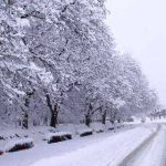 بارش شدید برف همدان را سفیدپوش کرد+ عکس بارش شدید برف همدان را سفیدپوش کرد+ عکس