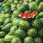 عرضه ۲۵۲ هزار تن هندوانه تازه برای تنظیم بازار در شب یلدا عرضه ۲۵۲ هزار تن هندوانه تازه برای تنظیم بازار در شب یلدا