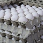 قیمت جدید تخم مرغ اعلام شد/ منتظر افزایش مجدد قیمت باشید قیمت جدید تخم مرغ اعلام شد/ منتظر افزایش مجدد قیمت باشید