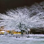 هشدار بارش برف شدید در این استان‌ها تا اول دی / بارش برف سنگین پیش‏‎بینی شد