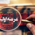 عرضه اولیه اروند در راه بازار سهام / جزئیات و میزان نقدینگی مورد نیاز اروند