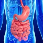 نوشیدنی سنتی برای رفع خستگی و بهبود گوارش