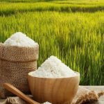 جنگ برنج بین هند و پاکستان و ویتنام/ افزایش ذخایر دولتی برنج در هند