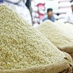 سقوط قیمت برنج آغاز شد