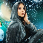 همکاری نانسی عجرم قطعی شد / تیتراژ «پسر دلفینی ۲»