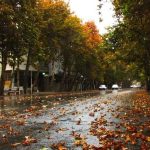 نام یک بازیگر زن مشهور بر خیابانی در تهران+ عکس