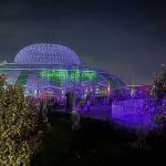 بزرگترین بازار گل و گیاه کشور افتتاح شد بزرگترین بازار گل و گیاه کشور افتتاح شد