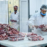 توزیع گسترده گوشت گرم گوساله وارداتی در میادین میوه و تره‌بار تهران: جزئیات و تاثیرات