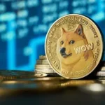 در سال 2025 ارزش میمکوینها 67 درصد کاهش پیدا کرد در سال 2025 ارزش میمکوینها 67 درصد کاهش پیدا کرد