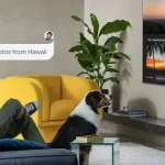 گوگل فوتوز به تلویزیون های هوشمند میآید؛ پایان انتظار برای کاربران سامسونگ گوگل فوتوز به تلویزیون های هوشمند میآید؛ پایان انتظار برای کاربران سامسونگ