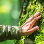 بدن انسان برای طبیعت ساخته شده نه زندگی مدرن؛ هشداری که باید جدی گرفت