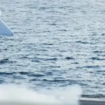 شلیک غیرمنتظره اولین پهپاد انتحاری از پیشرفتهترین ناو جنگی آمریکا؛ شلیک غیرمنتظره اولین پهپاد انتحاری از پیشرفتهترین ناو جنگی آمریکا؛