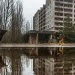 آیا سگ‌های چرنوبیل که در معرض تشعشع قرار گرفته‌اند، در حال تکامل هستند؟